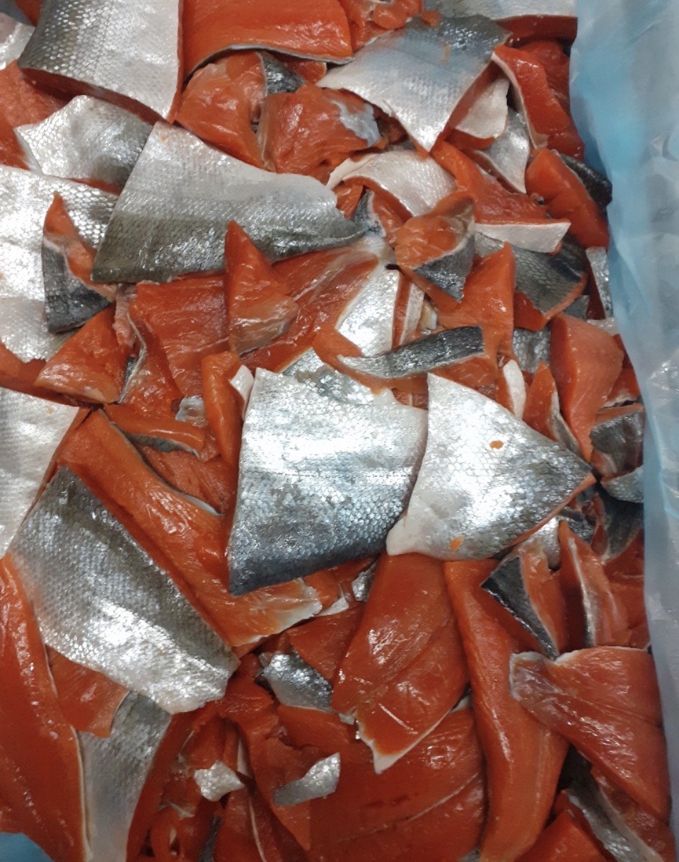 Atlantic Fresh Trout Tail cuts